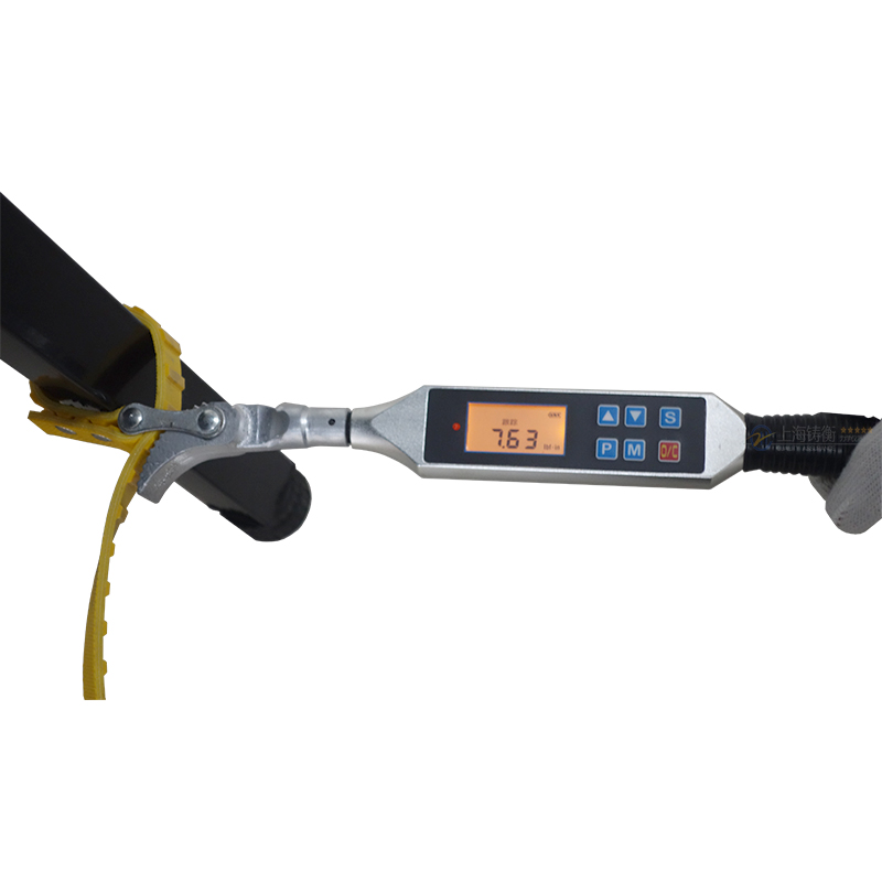 SGSX高精度數(shù)顯扭力扳手 可配皮帶頭