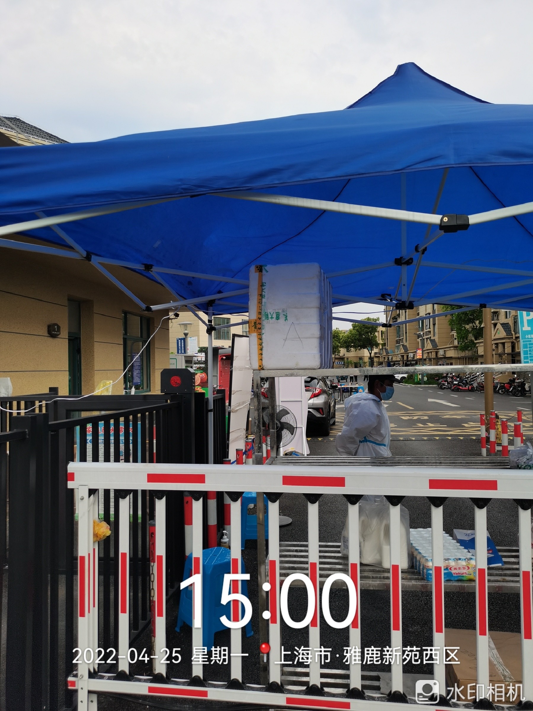 IMG_9665.JPG IMG_9665.JPG