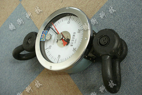 ָ�ʽ������Ӌ�DƬ